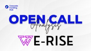 We-rise Open Call Analyse