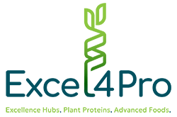 Excel4Pro-logo